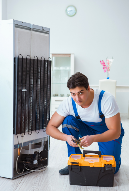 Fridge Maintenance Dubai